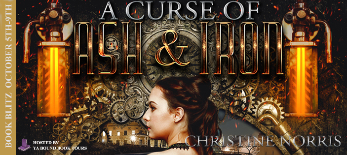 A CURSE OF ASH AND IRON BLITZ BANNER