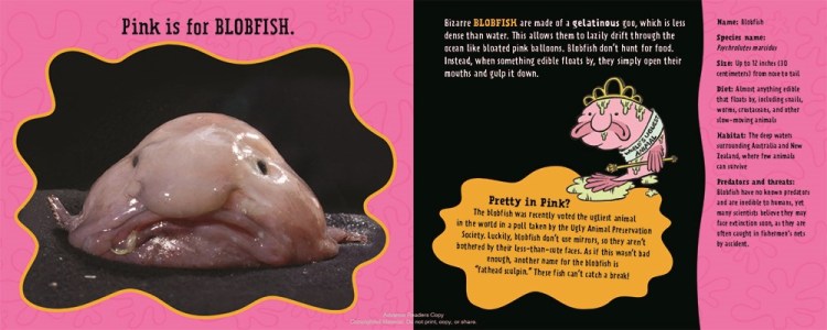 blobfish_1